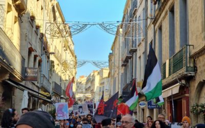 Montpellier : Pour un vœu au Conseil municipal défendant le cessez-le-feu à Gaza en accord avec la décision de la Cour Internationale de Justice