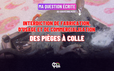 Interdiction de fabrication, d’usage et de commercialisation des pièges à colle